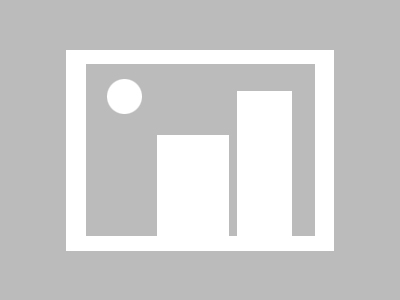 创作团队回应了，指向蘑菇视频，别错过这条线索