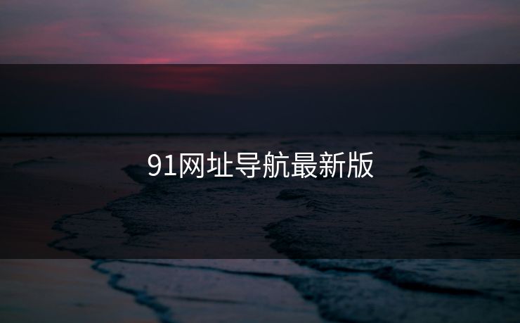 91网址导航最新版