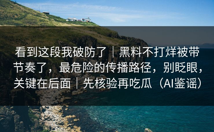 看到这段我破防了｜黑料不打烊被带节奏了，最危险的传播路径，别眨眼，关键在后面｜先核验再吃瓜（AI鉴谣）