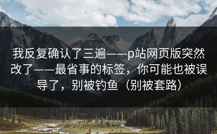 我反复确认了三遍——p站网页版突然改了——最省事的标签，你可能也被误导了，别被钓鱼（别被套路）