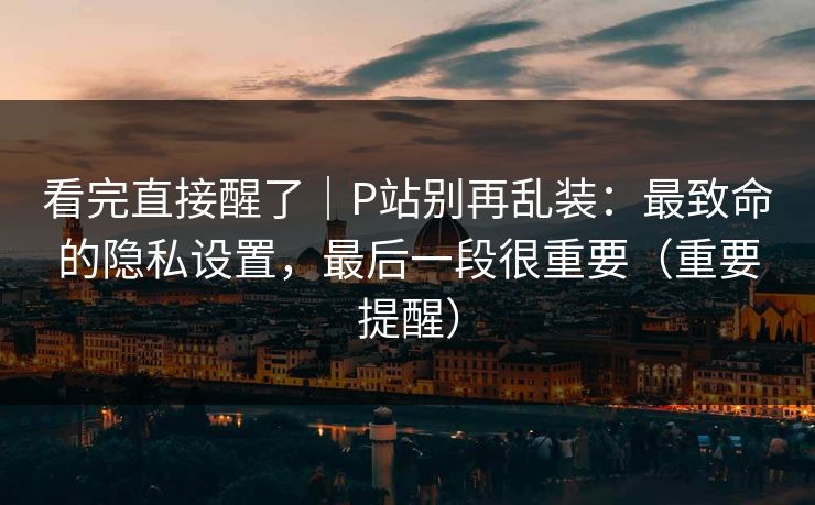 看完直接醒了｜P站别再乱装：最致命的隐私设置，最后一段很重要（重要提醒）