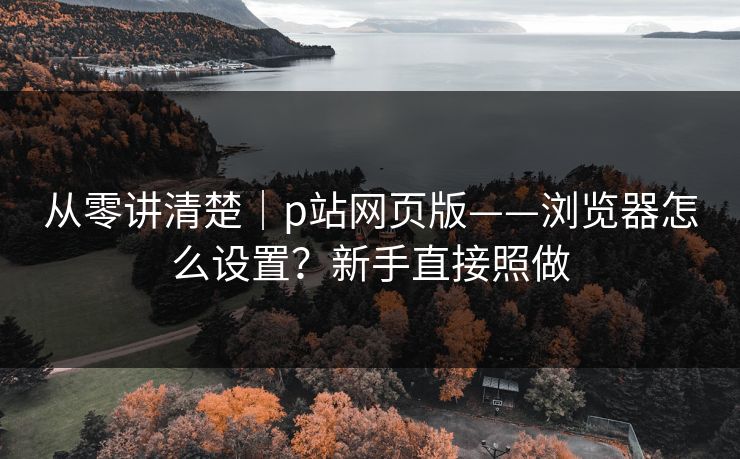 从零讲清楚｜p站网页版——浏览器怎么设置？新手直接照做