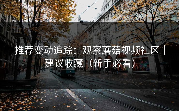 推荐变动追踪：观察蘑菇视频社区｜建议收藏（新手必看）