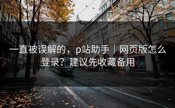 一直被误解的，p站助手｜网页版怎么登录？建议先收藏备用