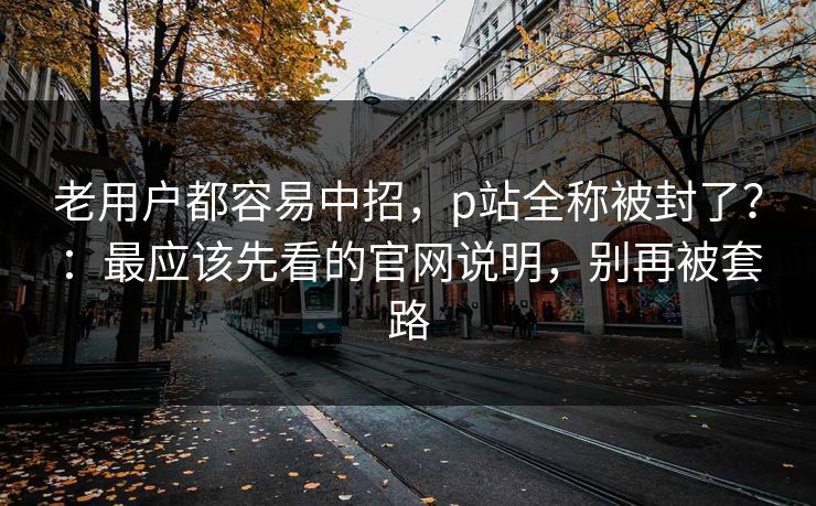 老用户都容易中招，p站全称被封了？：最应该先看的官网说明，别再被套路
