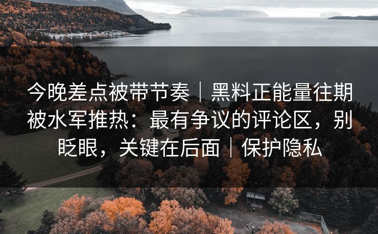 今晚差点被带节奏｜黑料正能量往期被水军推热：最有争议的评论区，别眨眼，关键在后面｜保护隐私