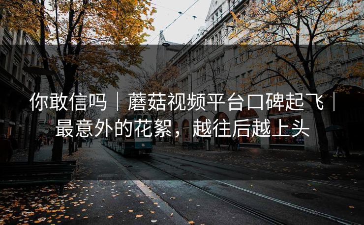 你敢信吗|蘑菇视频平台口碑起飞|最意外的花絮,越往后越上头 你敢信吗|蘑菇视频平台口碑起飞|最意外的花絮,越往后越上头