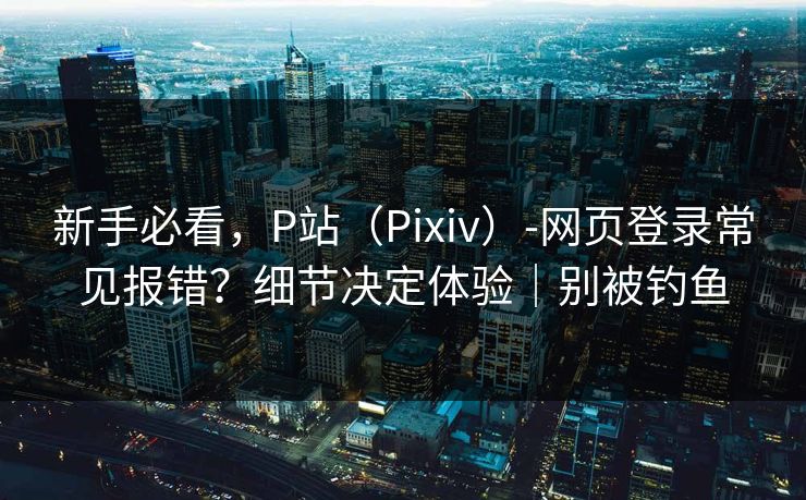 新手必看，P站（Pixiv）-网页登录常见报错？细节决定体验｜别被钓鱼