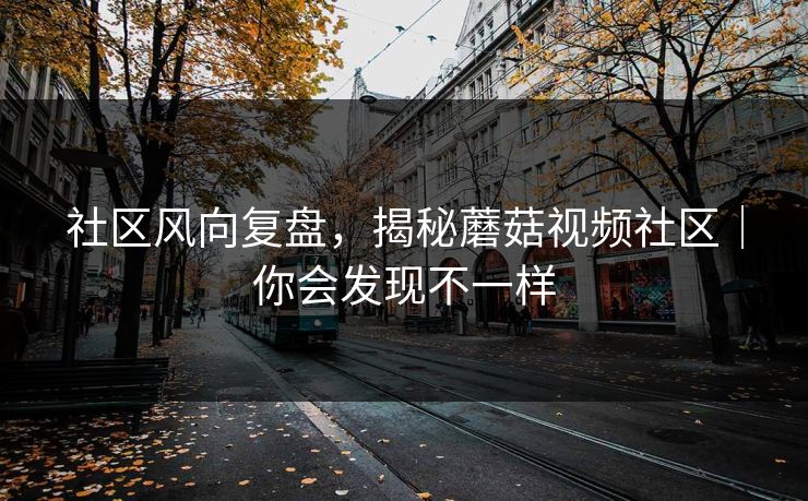 社区风向复盘,揭秘蘑菇视频社区|你会发现不一样 社区风向复盘,揭秘蘑菇视频社区|你会发现不一样