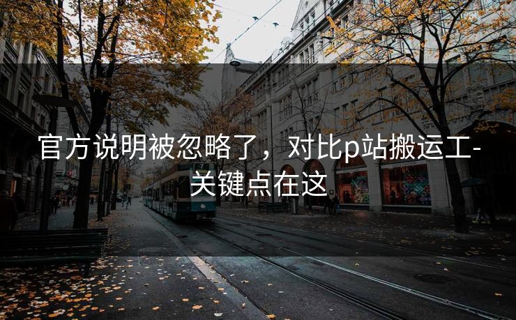 官方说明被忽略了,对比p站搬运工-关键点在这 官方说明被忽略了,对比p站搬运工-关键点在这