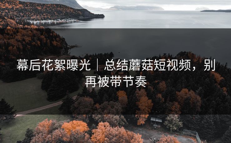 幕后花絮曝光|总结蘑菇短视频,别再被带节奏 幕后花絮曝光|总结蘑菇短视频,别再被带节奏