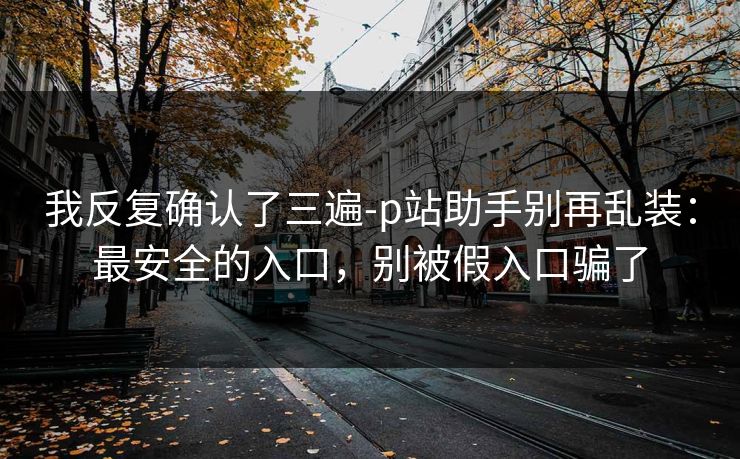 我反复确认了三遍-p站助手别再乱装：最安全的入口，别被假入口骗了