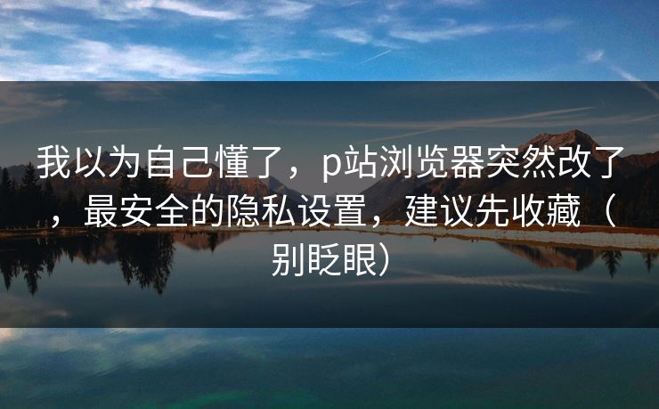 我以为自己懂了,p站浏览器突然改了,最安全的隐私设置,建议先收藏(别眨眼) 我以为自己懂了,p站浏览器突然改了,最安全的隐私设置,建议先收藏(别眨眼)