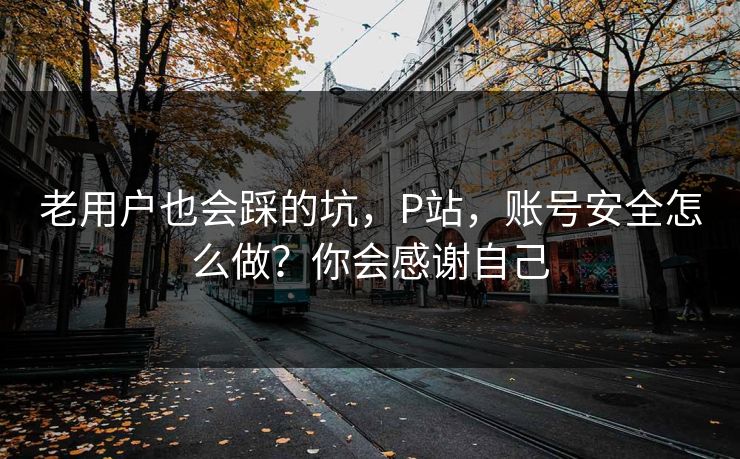 老用户也会踩的坑,P站,账号安全怎么做?你会感谢自己 老用户也会踩的坑,P站,账号安全怎么做?你会感谢自己