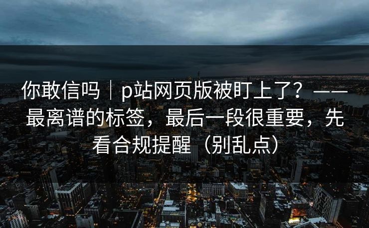你敢信吗｜p站网页版被盯上了？——最离谱的标签，最后一段很重要，先看合规提醒（别乱点）
